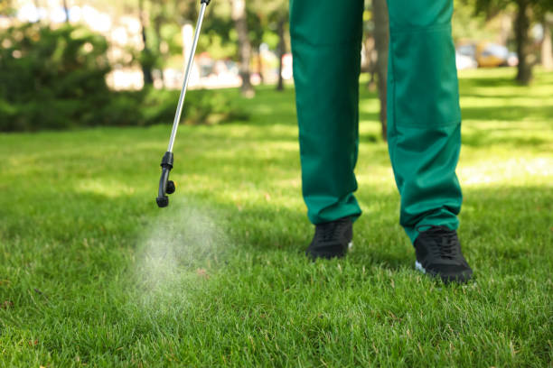 Best Affordable Pest Control Services  in Hewitt, NJ