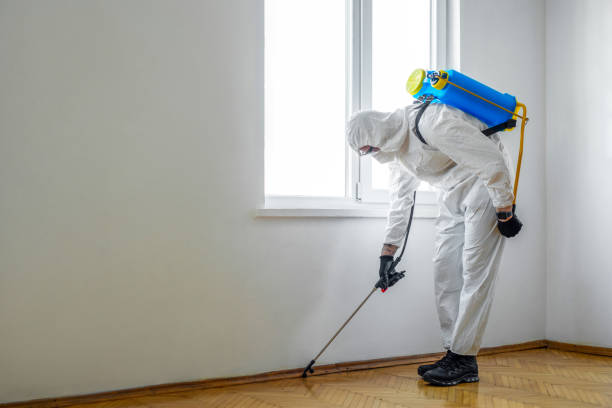 Professional Pest Control in Hewitt, NJ