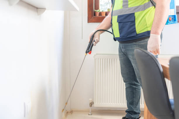 Best Flea Control Services  in Hewitt, NJ