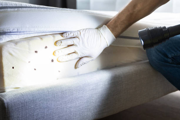 Best Emergency Pest Control  in Hewitt, NJ