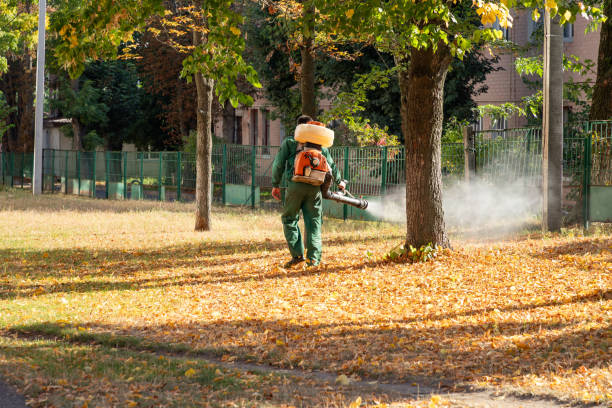 Best Cockroach Control Services  in Hewitt, NJ