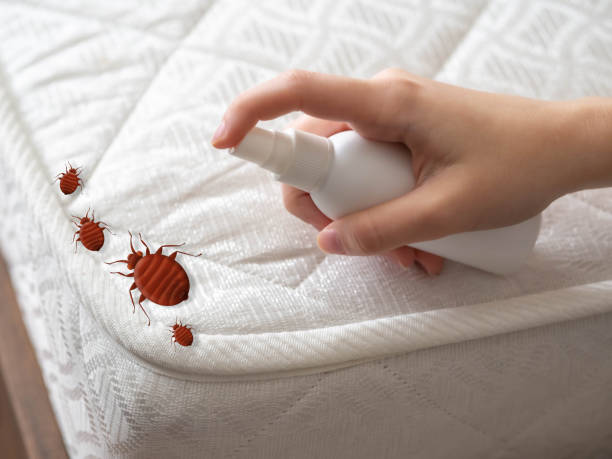 Best Pest Control for Businesses  in Hewitt, NJ