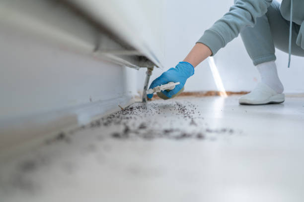Best Pest Control Near Me  in Hewitt, NJ