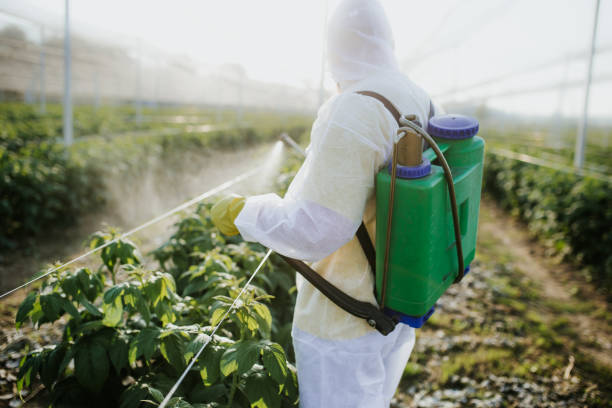 Best Mosquito Control Services  in Hewitt, NJ